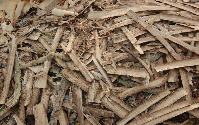 Espenrinde gegen Prostatitis