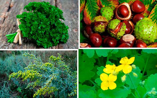 Kräuter zur Behandlung von Prostatitis